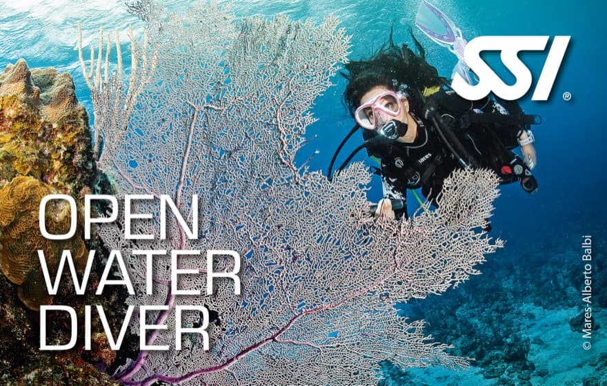 SSI Open Water Diver certification card (digital C-card)