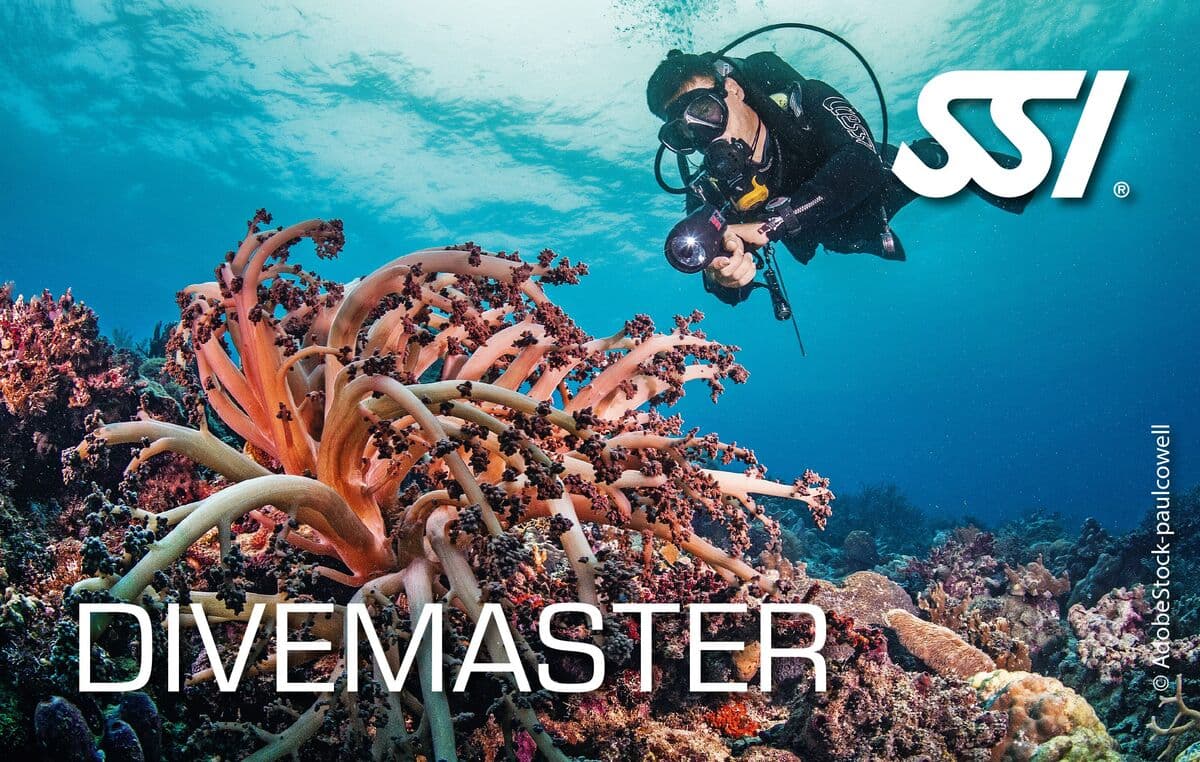 SSI Dive Master SSI kurs kartı