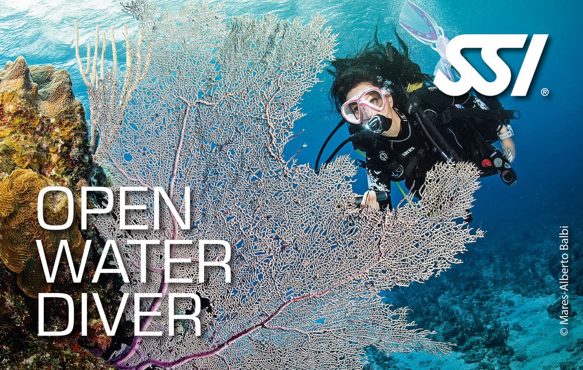 SSI Open Water Diver SSI kurs kartı