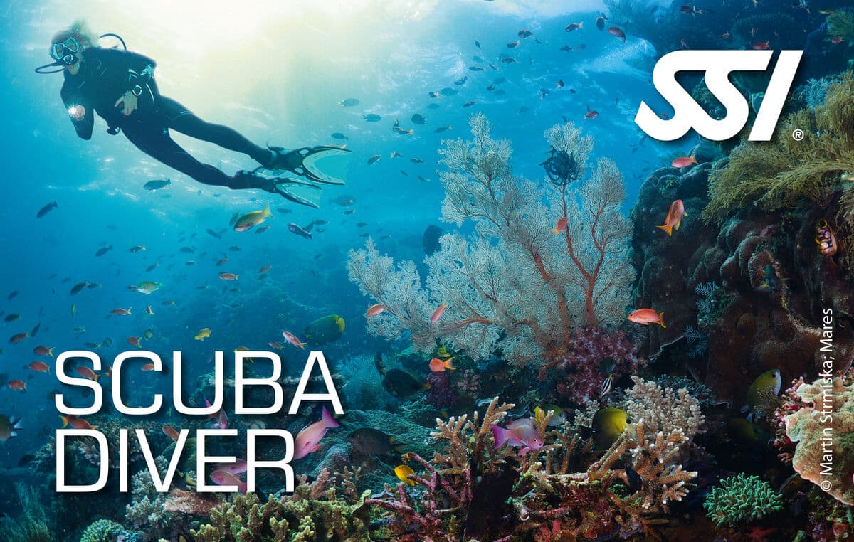 SSI Scuba Diver SSI kurs kartı