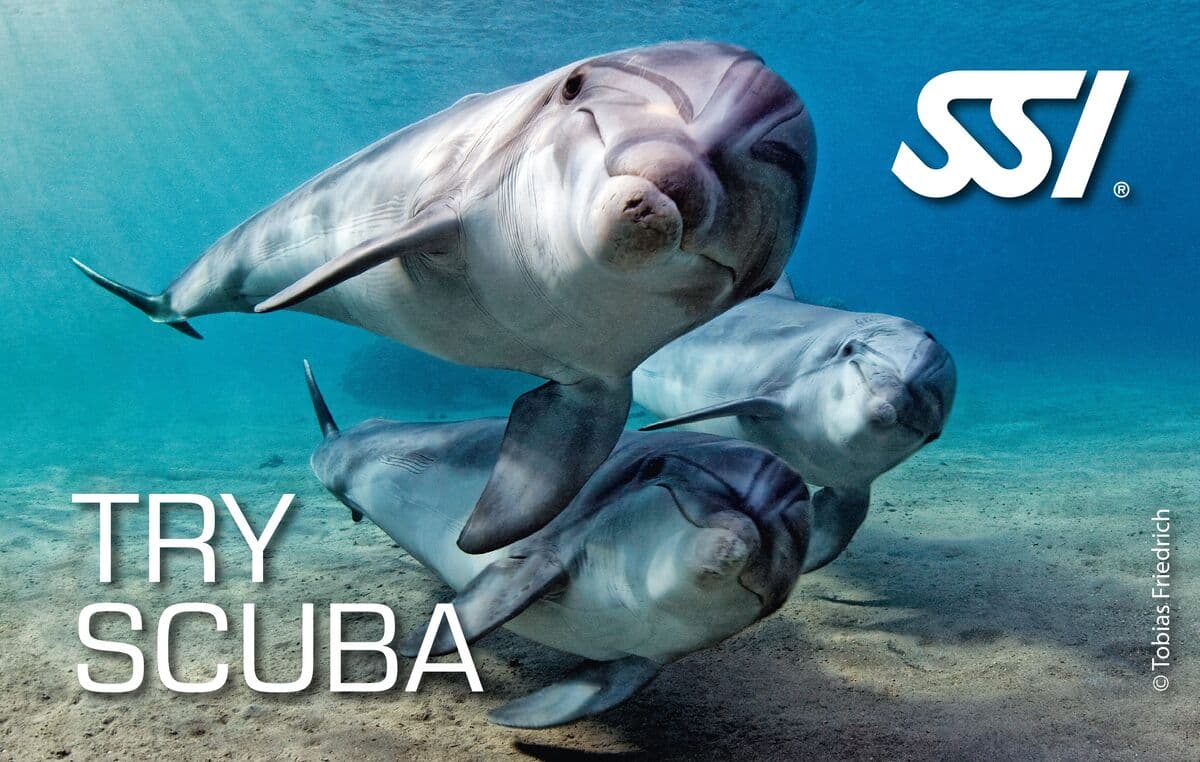 SSI Try Scuba SSI kurs kartı