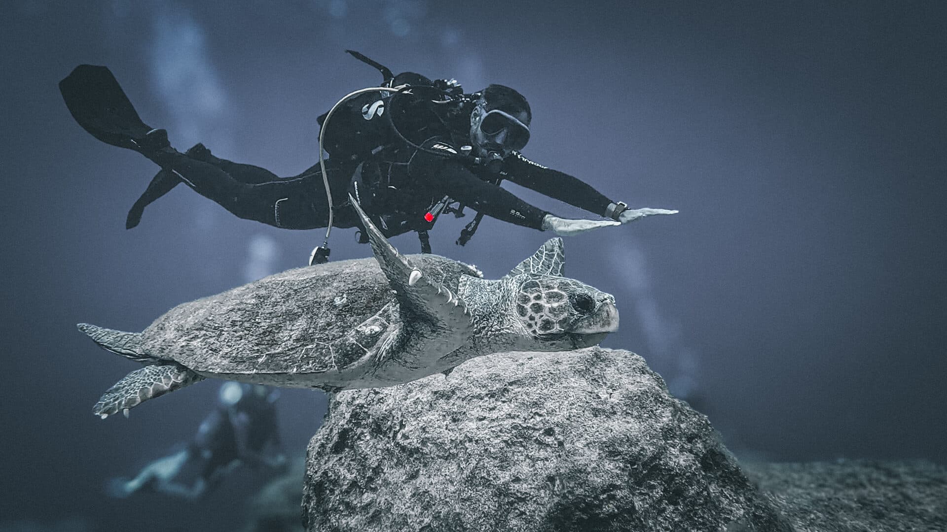 A diver and a sea turtle in Kaş during a first-dive experience